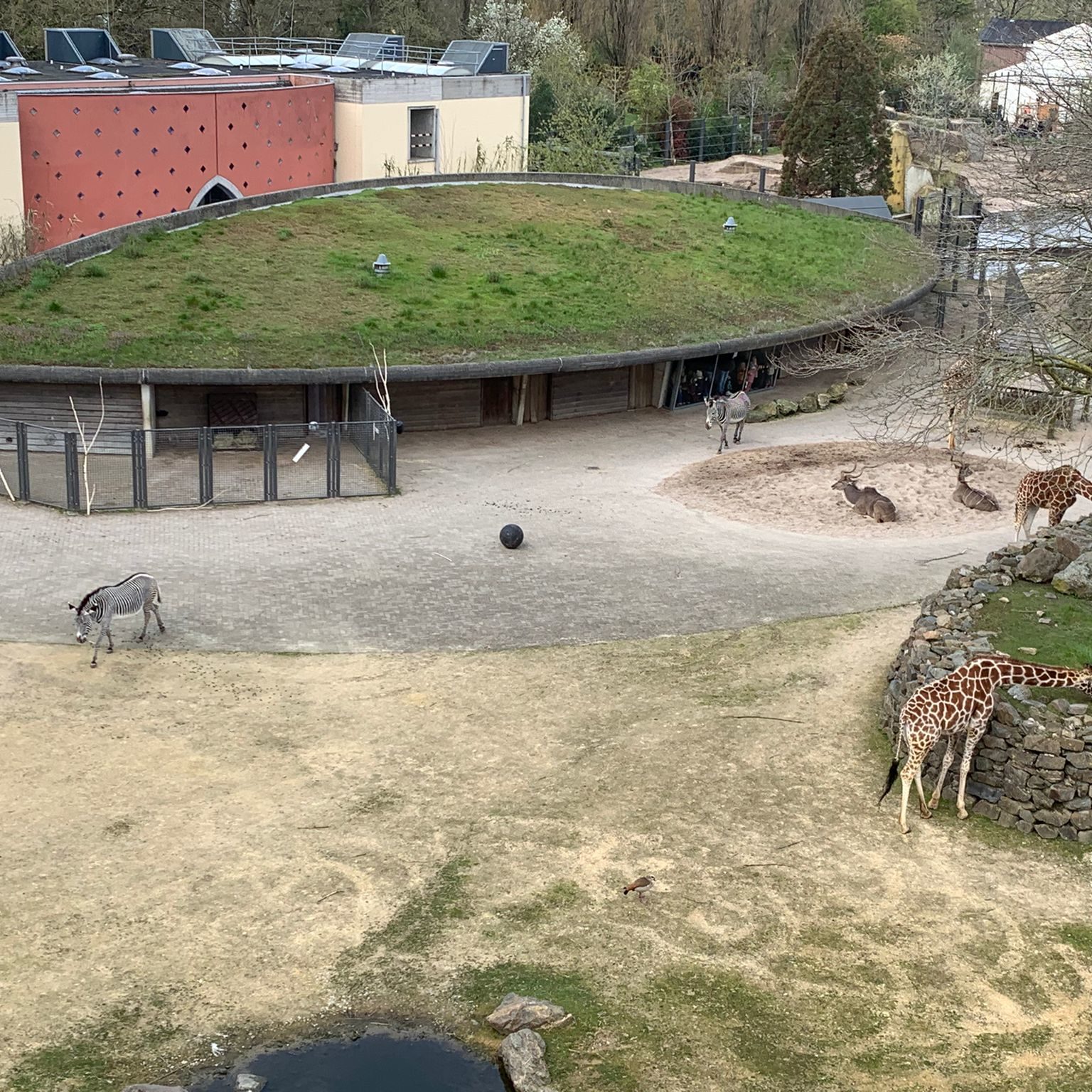 artis-restaurant-de-twee-cheetahs-pvt-panelen-triple-solar-8