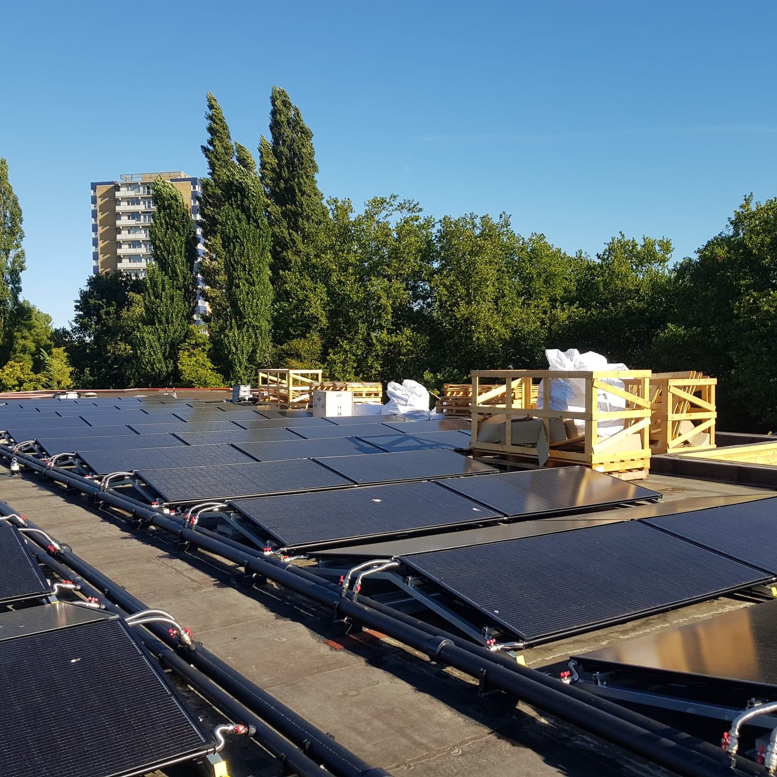 Wijde-wereld-haarlem-school-03